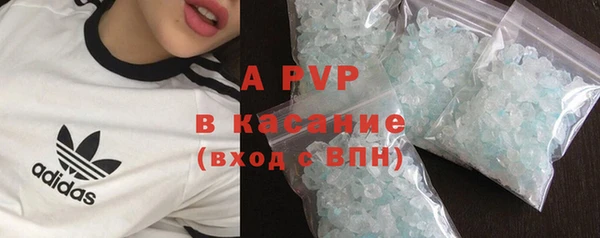 ECSTASY Медвежьегорск