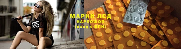 трава Тавда