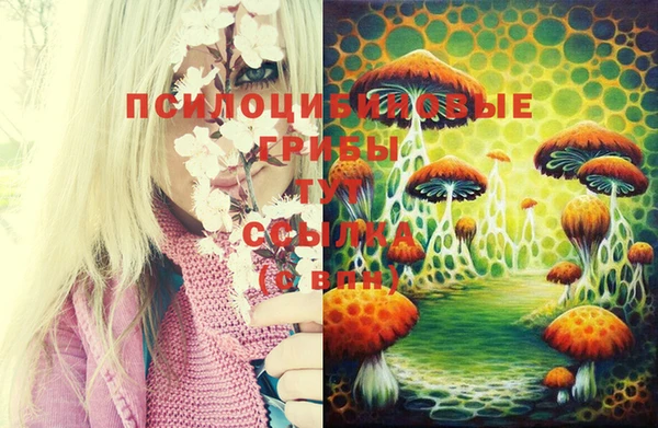 ECSTASY Медвежьегорск