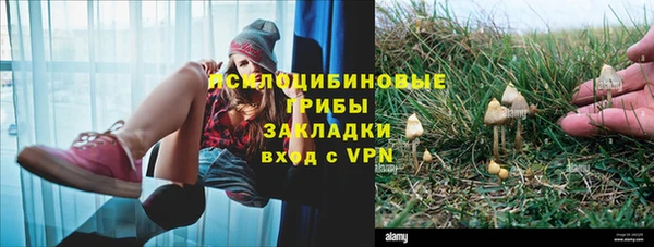 ECSTASY Медвежьегорск