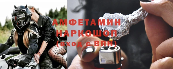гидра Михайловка