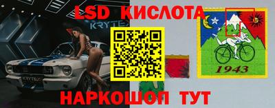 крисы Донской