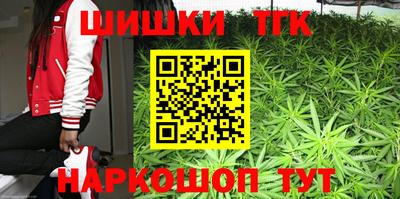 хмурый Дубна