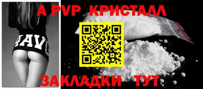 крисы Донской