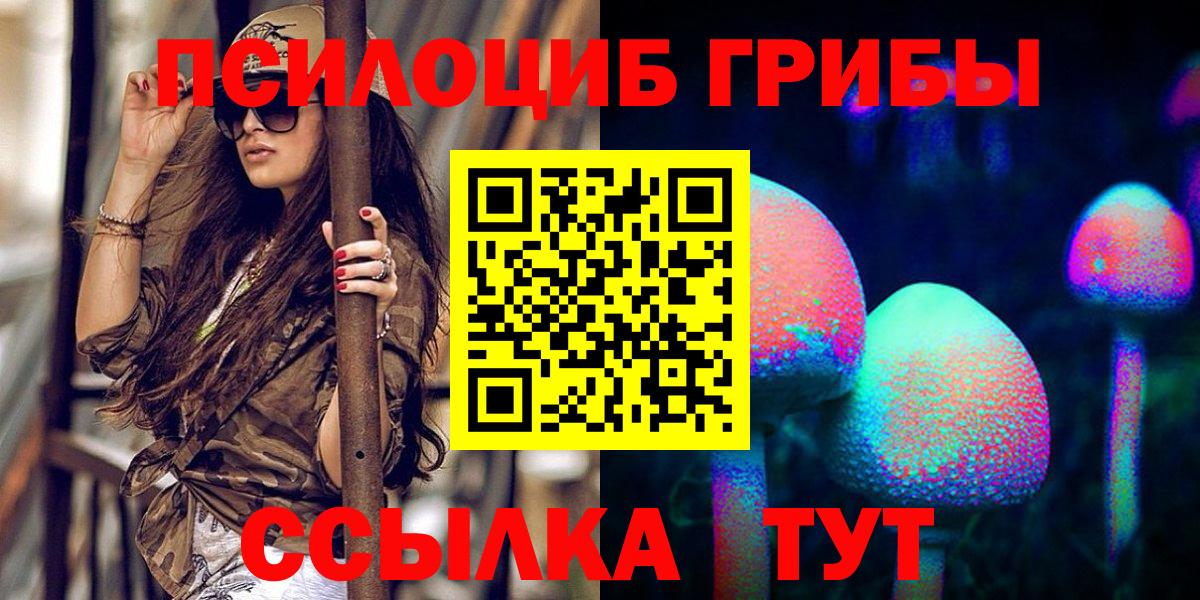 Чусовой  Псилоцибиновые грибы MAGIC MUSHROOMS  Вход с VPN 